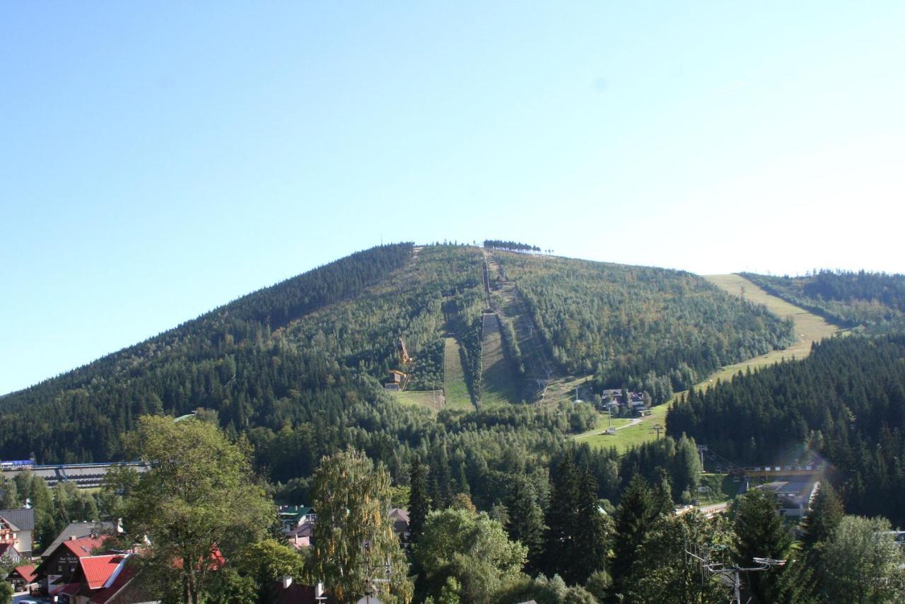 Enjoyharrachov - Atraktivni Klidny Klimatizovany Apartman 20 V Centru Harrachova S Parkovanim, Wifi-Wlan, Sat, Herni Konzoli, Ipad, Netflix Zdarma, Moznosti Dobijeni Auta, Vyhledem Do Zahrady A Na Romanticky Kostelik Ngoại thất bức ảnh