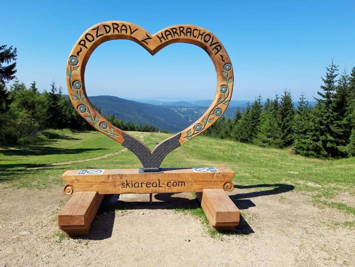 Enjoyharrachov - Atraktivni Klidny Klimatizovany Apartman 20 V Centru Harrachova S Parkovanim, Wifi-Wlan, Sat, Herni Konzoli, Ipad, Netflix Zdarma, Moznosti Dobijeni Auta, Vyhledem Do Zahrady A Na Romanticky Kostelik Ngoại thất bức ảnh