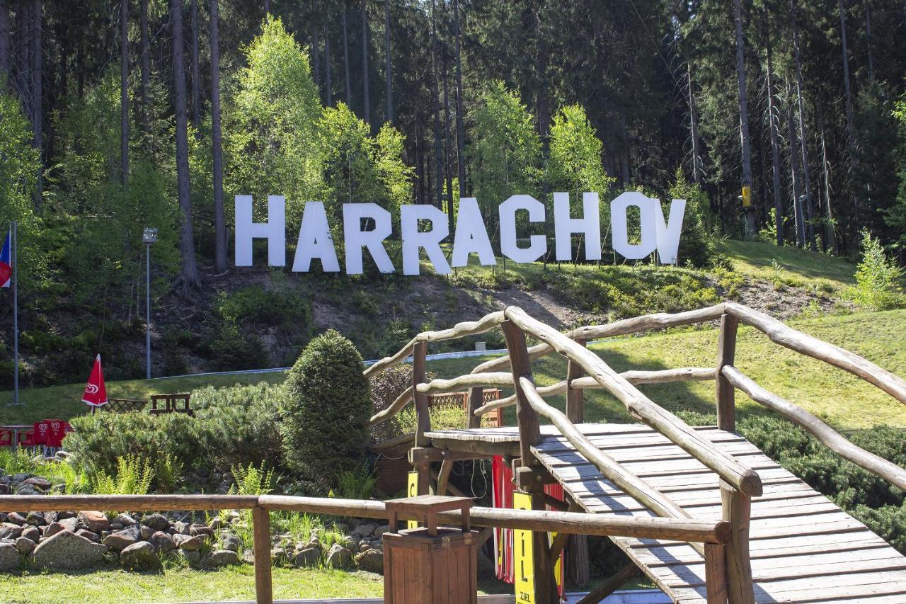 Enjoyharrachov - Atraktivni Klidny Klimatizovany Apartman 20 V Centru Harrachova S Parkovanim, Wifi-Wlan, Sat, Herni Konzoli, Ipad, Netflix Zdarma, Moznosti Dobijeni Auta, Vyhledem Do Zahrady A Na Romanticky Kostelik Ngoại thất bức ảnh