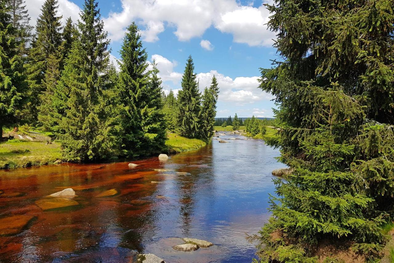 Enjoyharrachov - Atraktivni Klidny Klimatizovany Apartman 20 V Centru Harrachova S Parkovanim, Wifi-Wlan, Sat, Herni Konzoli, Ipad, Netflix Zdarma, Moznosti Dobijeni Auta, Vyhledem Do Zahrady A Na Romanticky Kostelik Ngoại thất bức ảnh